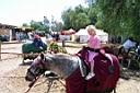 DCP_0276.JPG