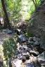 DCP_0542.JPG
