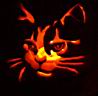 Meow!
