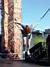 DSC00110.JPG