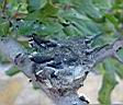 DSC01358.JPG
