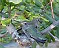 DSC01359.JPG