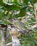 DSC01362.JPG
